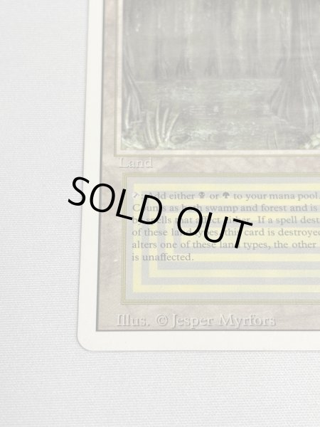 画像4: 《Bayou》[3ED] MP (4)