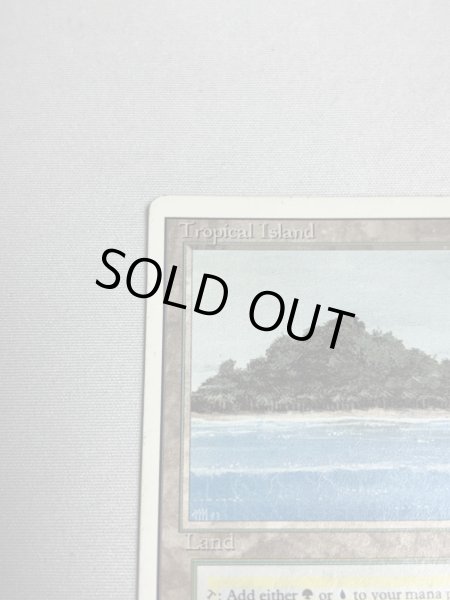 画像2: 《Tropical Island》 3ED MP (2)