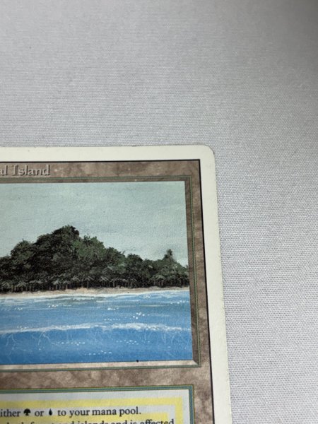 画像3: 《Tropical Island》 3ED MP (3)