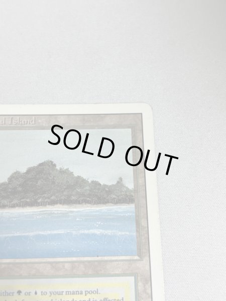 画像3: 《Tropical Island》 3ED MP (3)