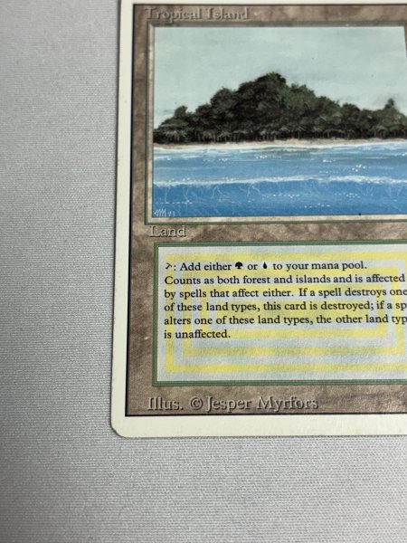 画像4: 《Tropical Island》 3ED MP (4)