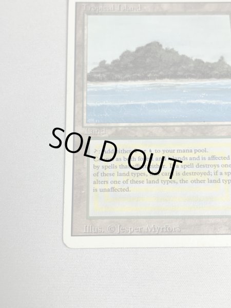 画像4: 《Tropical Island》 3ED MP (4)