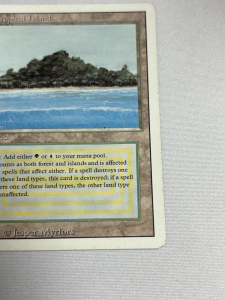 画像5: 《Tropical Island》 3ED MP (5)