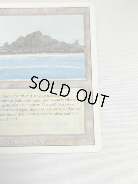 画像5: 《Tropical Island》 3ED MP (5)