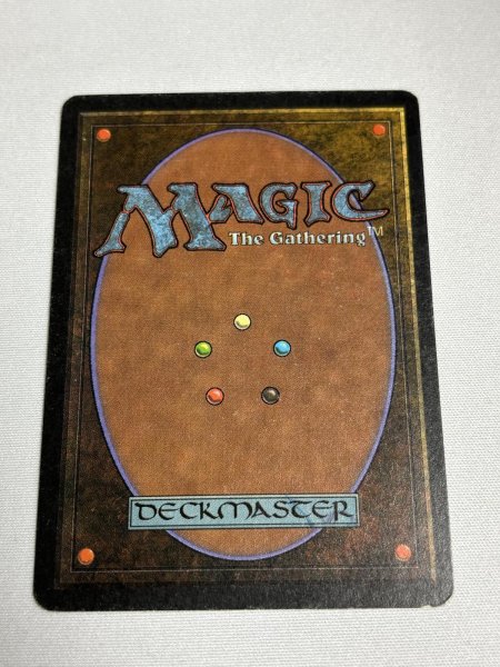 画像6: 《Tropical Island》 3ED MP (6)