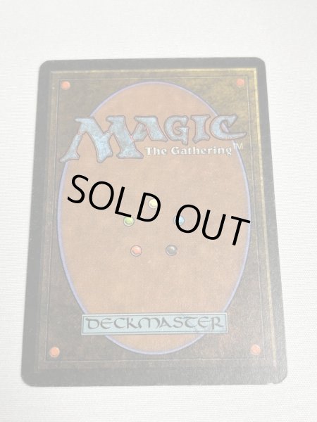 画像6: 《Tropical Island》 3ED MP (6)