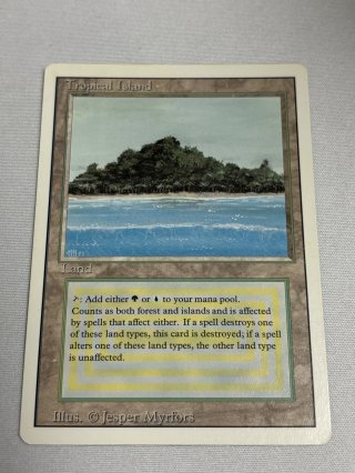 デュアルランド/Dual Land - MTG専門店 Initiative
