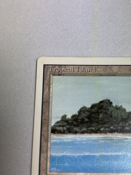 画像2: 《Tropical Island》 3ED SP (2)