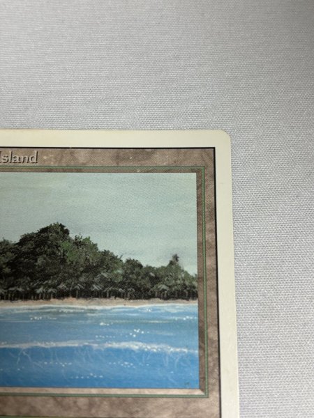 画像3: 《Tropical Island》 3ED SP (3)