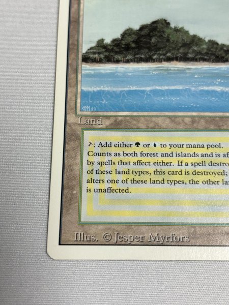 画像4: 《Tropical Island》 3ED SP (4)