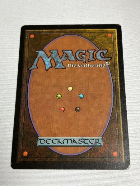 画像6: 《Tropical Island》 3ED SP (6)