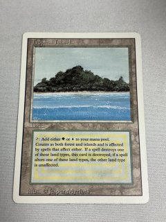 Tropical Island - MTG専門店 Initiative