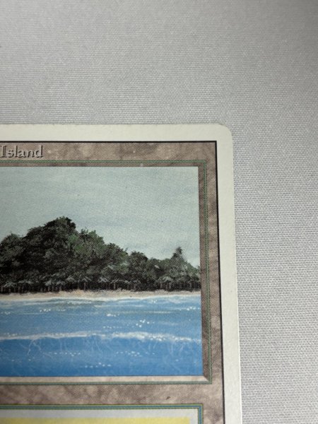 画像3: 《Tropical Island》 3ED SP (3)