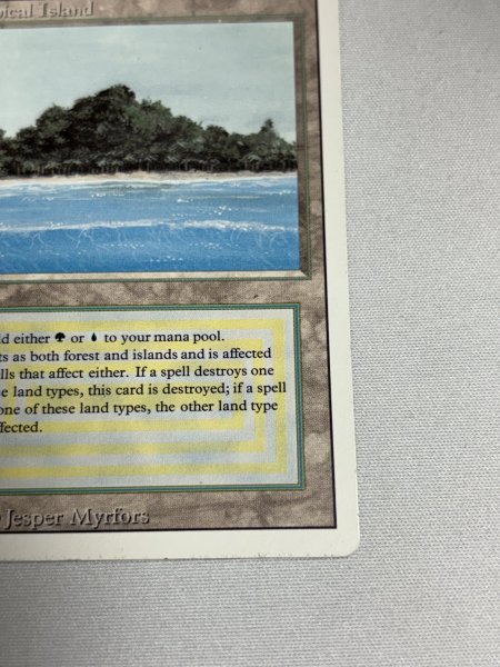 画像5: 《Tropical Island》 3ED SP (5)