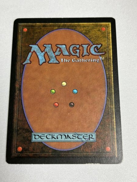 画像6: 《Tropical Island》 3ED SP (6)