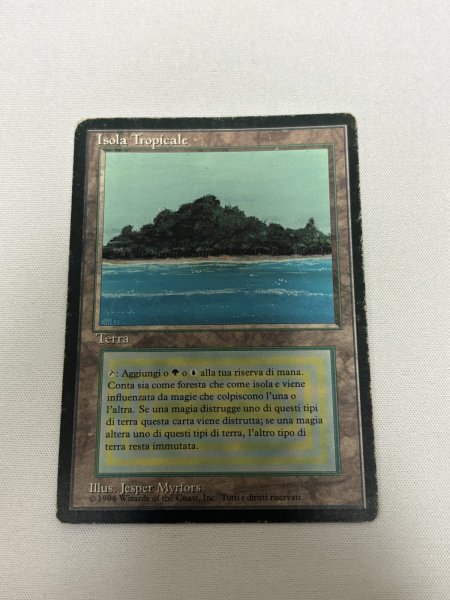 画像1: イタリア語《Tropical Island》[FBB]  HP (1)