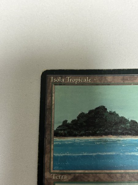 画像2: イタリア語《Tropical Island》[FBB]  HP (2)