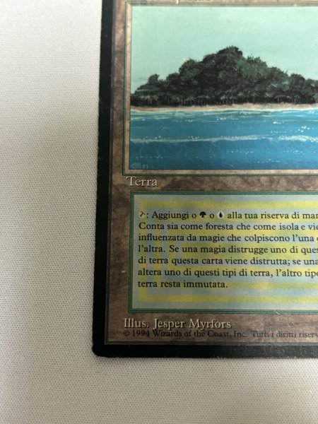 画像4: イタリア語《Tropical Island》[FBB]  HP (4)