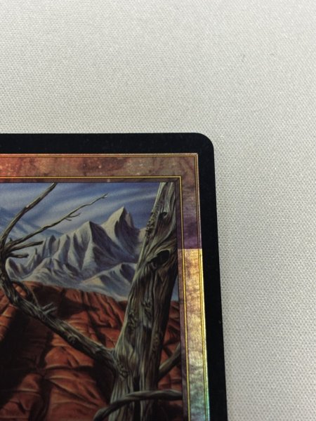 画像3: 【Foil】《不毛の大地/Wasteland》[褒賞プログラム] (3)