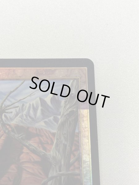 画像3: 【Foil】《不毛の大地/Wasteland》[褒賞プログラム] (3)