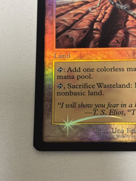 画像4: 【Foil】《不毛の大地/Wasteland》[褒賞プログラム] (4)