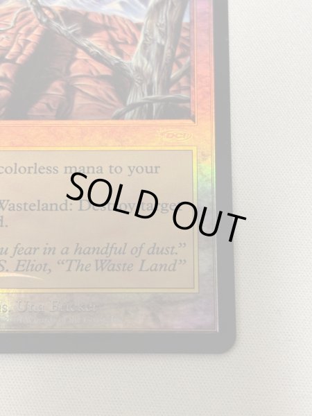 画像5: 【Foil】《不毛の大地/Wasteland》[褒賞プログラム] (5)