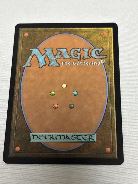 画像6: 【Foil】《不毛の大地/Wasteland》[褒賞プログラム] (6)