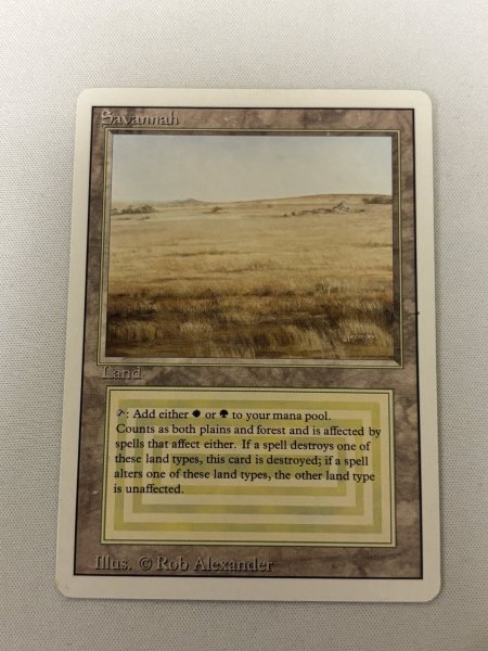 画像1: 《Savannah》[3ED] MP (1)