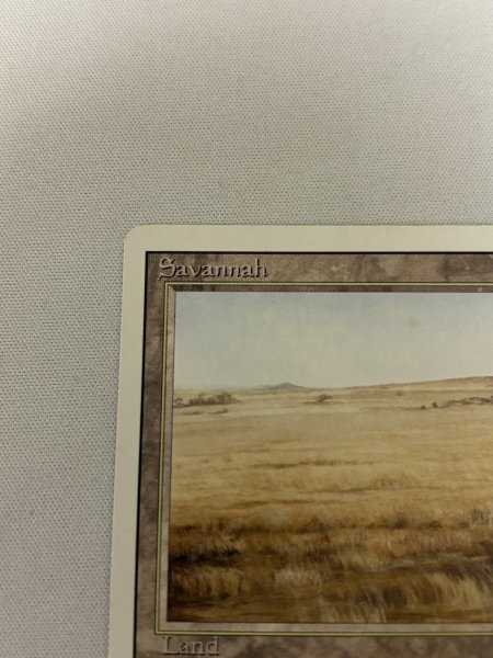 画像2: 《Savannah》[3ED] MP (2)