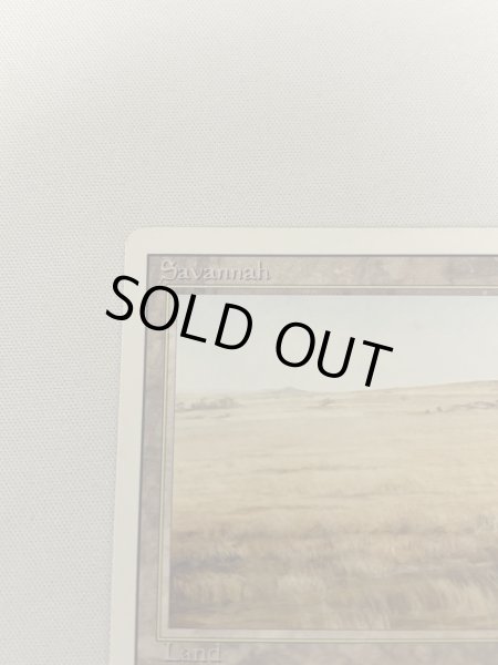 画像2: 《Savannah》[3ED] MP (2)