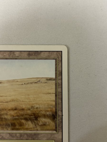 画像3: 《Savannah》[3ED] MP (3)