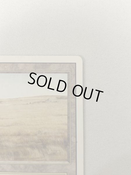 画像3: 《Savannah》[3ED] MP (3)