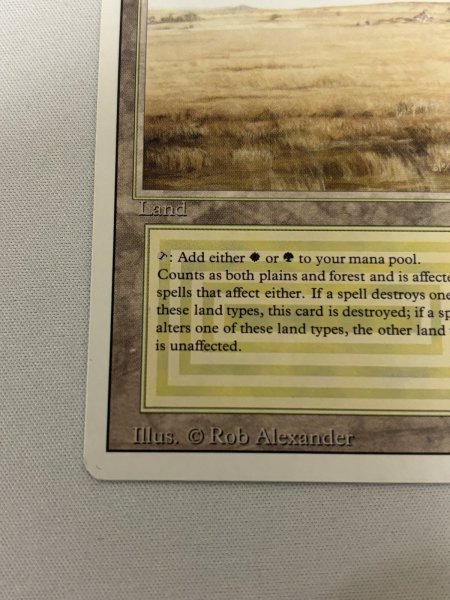 画像4: 《Savannah》[3ED] MP (4)