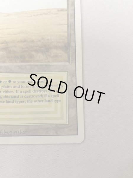 画像5: 《Savannah》[3ED] MP (5)