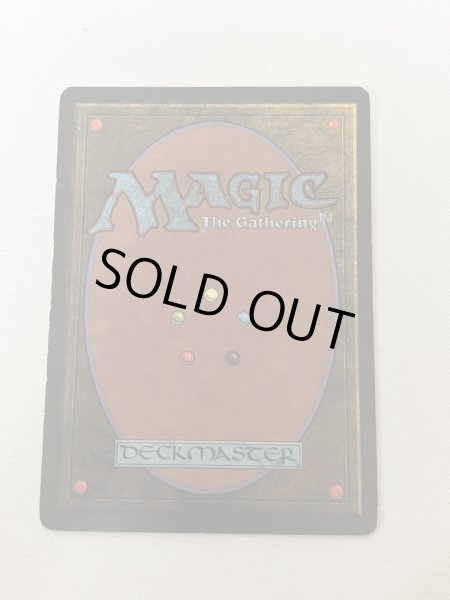 画像6: 《Savannah》[3ED] MP (6)