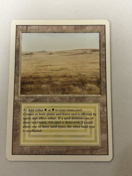 画像1: 《Savannah》[3ED] MP (1)