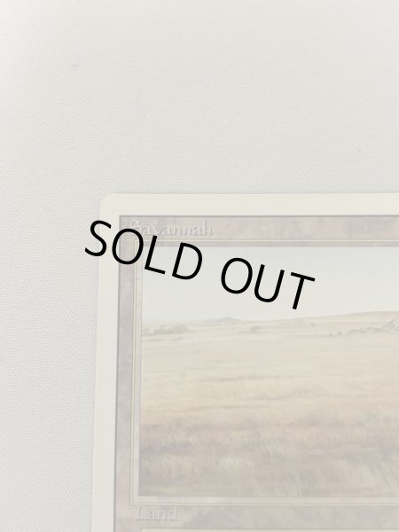 画像2: 《Savannah》[3ED] MP (2)