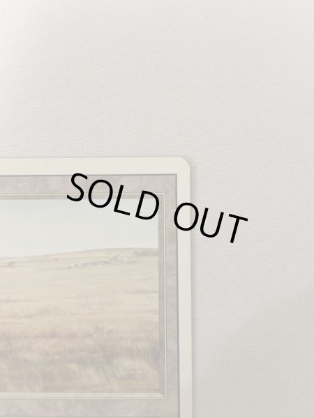 画像3: 《Savannah》[3ED] MP (3)