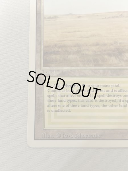 画像4: 《Savannah》[3ED] MP (4)