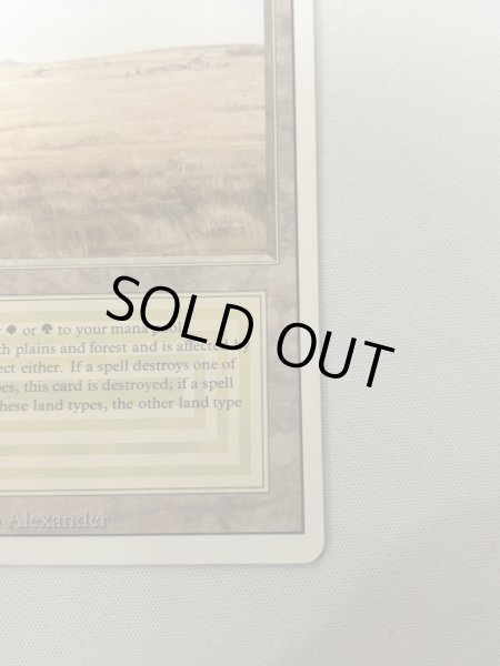 画像5: 《Savannah》[3ED] MP (5)