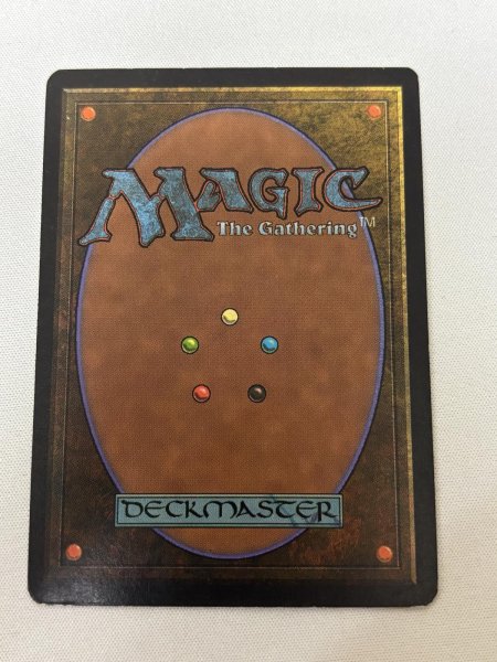 画像6: 《Savannah》[3ED] MP (6)