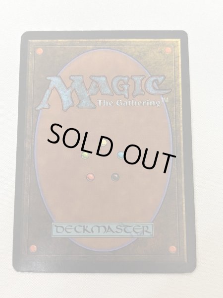 画像6: 《Savannah》[3ED] MP (6)