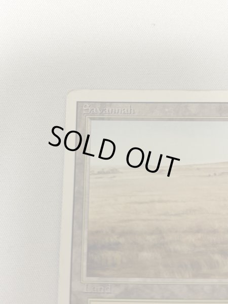 画像2: 《Savannah》[3ED] MP (2)