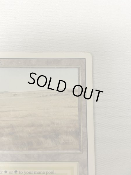 画像3: 《Savannah》[3ED] MP (3)