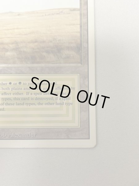 画像5: 《Savannah》[3ED] MP (5)