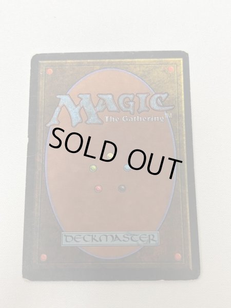 画像6: 《Savannah》[3ED] MP (6)