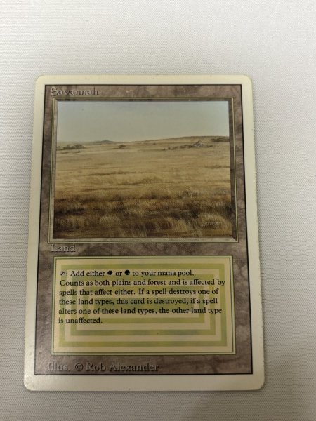 画像1: 《Savannah》[3ED] SP (1)