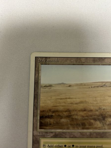 画像2: 《Savannah》[3ED] SP (2)