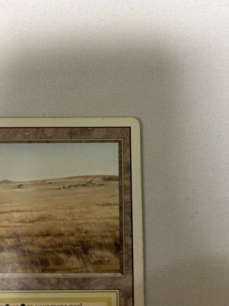 画像3: 《Savannah》[3ED] SP (3)