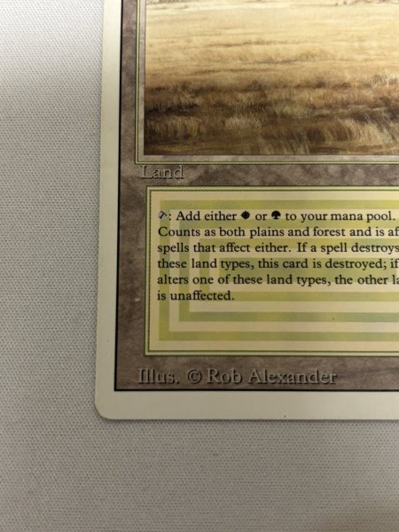 画像4: 《Savannah》[3ED] SP (4)